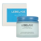 LEBELAGE Super Aqua Moisture Cream, 70ml оптом